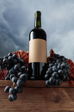 Red wine bottle with blue grapes on a background of cloudy sky.