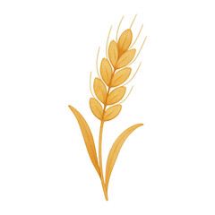 Obraz premium PNG Watercolor wheat illustration on white.