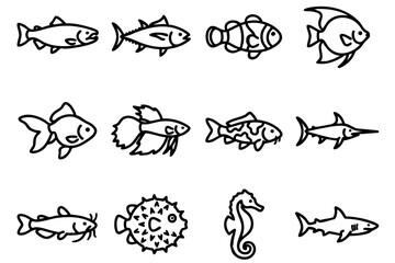 Obraz premium Various Fish Species Line Drawings.
