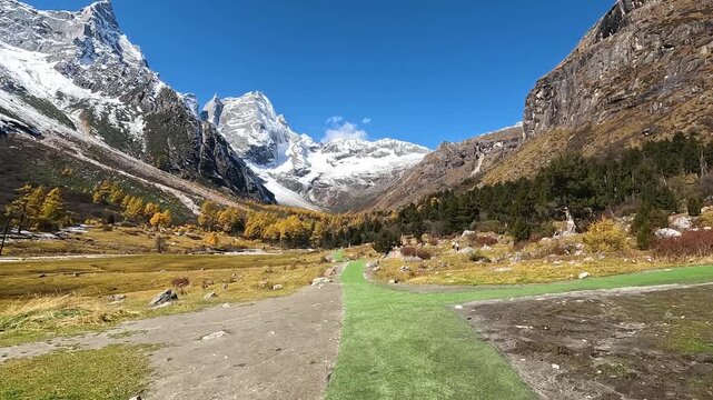 Yanziyanwo view point of  Yellow Tree and stream  with Snow Mountain  in Mount Bipenggou National Park in Xiaojin Sichuan Province China - Stable Footage Autumn 