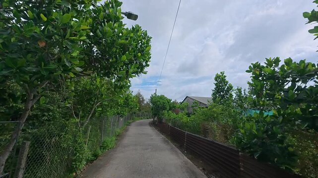 POV Motorbike Ride Past Durian and Jackfruit Trees in Southern Vietnam