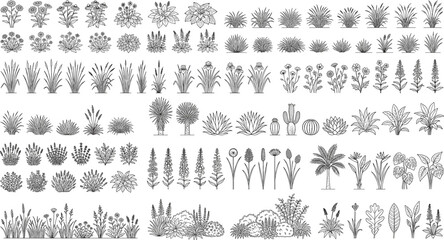 Comprehensive collection of botanical plant and flower line art illustrations for professional garden and landscape design © Manik