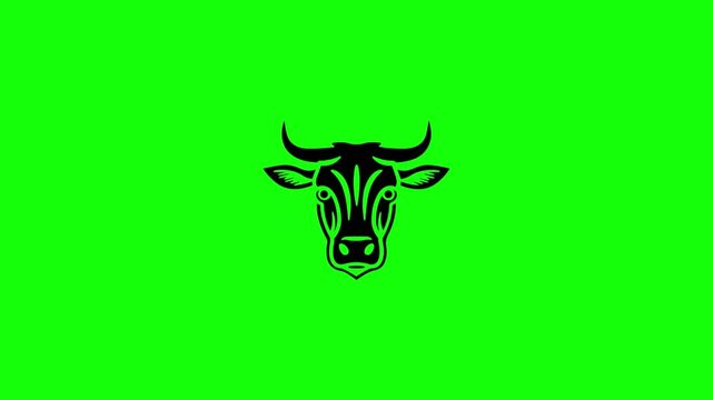 Professional using green screen for video production. Chroma key backdrop setup for virtual studio filming. Content creator recording high-quality...