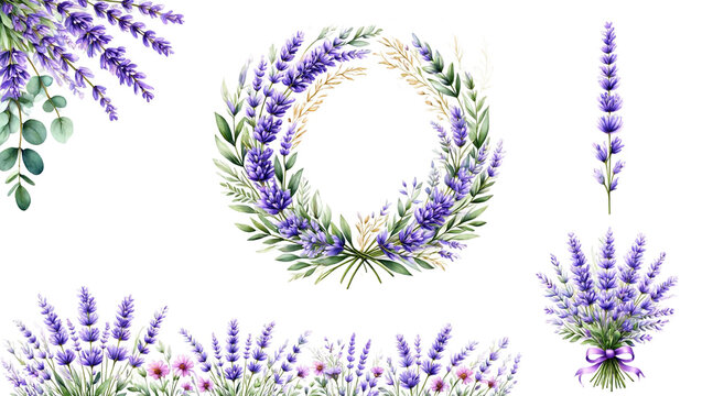 Watercolor lavender and eucalyptus floral arrangements and borders perfect for elegant designs