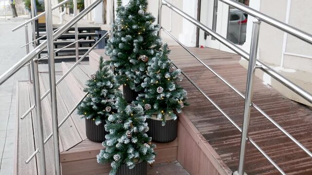 Small decorative Christmas trees in tubs at the entrance to the building