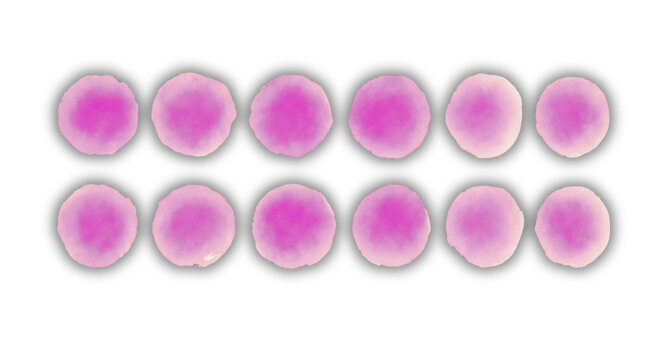 Magenta Pink Textured Counters Grid, Watercolor Dab 2x6 Array, 12 Pink Circles with Gray Halo, Soft Organic Counting Graphic, Textured Magenta Math Counters, Two-Row Educational Array