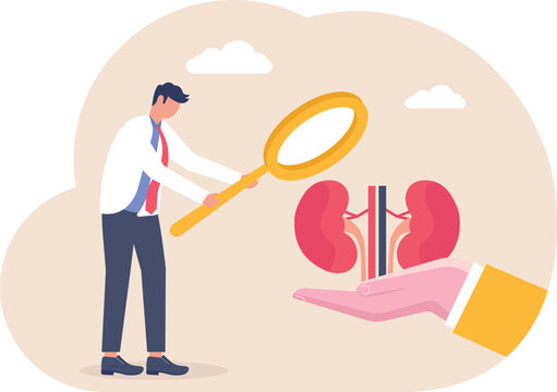 Businessman using magnifying glass to inspect kidney organs