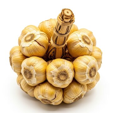 Braided garlic bulb bundle on white background, organic smoked garlic heads tied with natural straw, rustic culinary spice for food photography