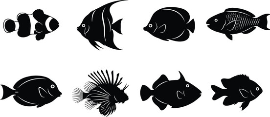 Silhouettes of whale species including blue, humpback, orca, sperm, beluga, narwhal, bowhead, and pilot © MdSazzad