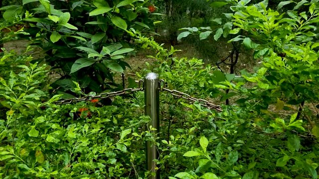 Stainless steel bollard post with metal chain barrier surrounded by lush green garden foliage