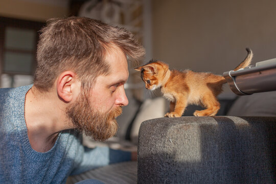 Heartwarming close-up of bearded man with face-to-face with small Abyssinian kitten. Man and kitten looking at each other, friendship, bonding and mutual trust between human and pet.