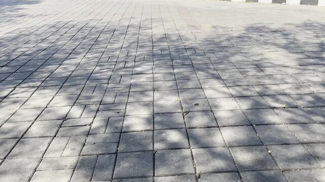 Beautiful tree leaves shadow reflection on grey paving blocks