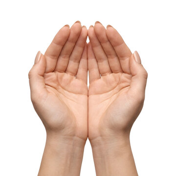 Cupped open woman hands gesture isolated on transparent background