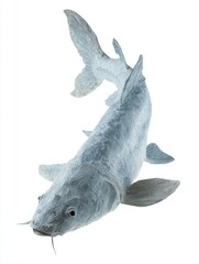 Fototapeta premium Full Body Sturgeon Fish Isolated On White Background Showing Detailed Grey Spotted Skin Textures