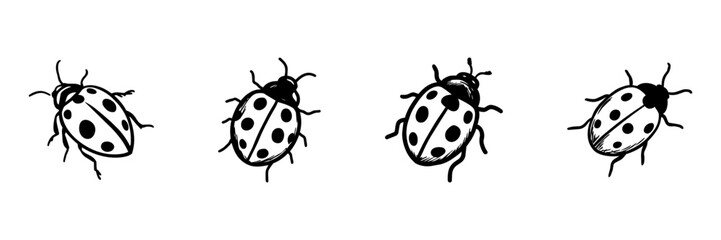 Fototapeta premium Ladybug In Hand Drawn Style Set. Insect Doodle Sketch Collection. Nature And Wildlife Decorative Elements. Isolated Vector Illustration
