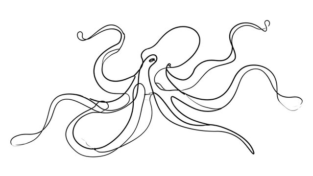 Elegant octopus line art illustration white background.