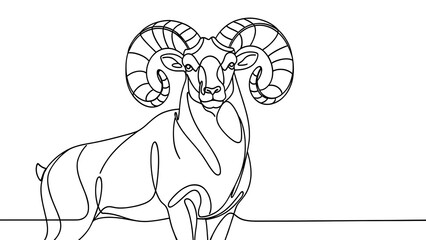 Fototapeta premium Minimalist ram drawing on white background.