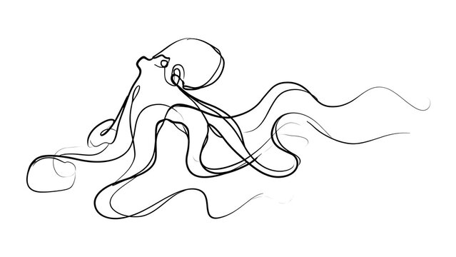 Minimalist octopus line art illustration white background.