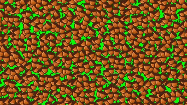 4K flat vector animation of falling autumn acorns transition on a chroma key green screen background