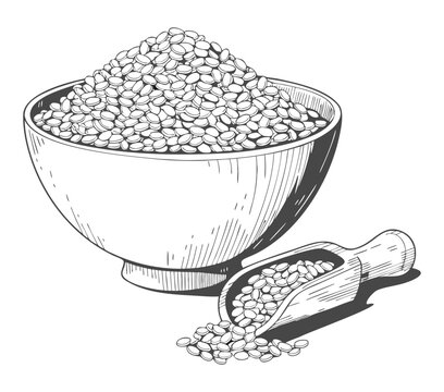 Hand Drawn Bowl And Scoop Filled With Grains Or Seeds In Sketch Style