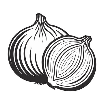 Line Art Illustration of a Whole Onion and a Half Onion Cut