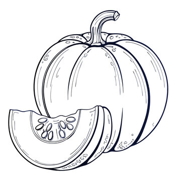 Line Art Illustration of a Pumpkin with a Slice and Seeds