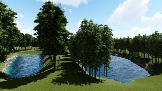 Forest Cannel 