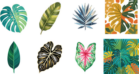 Yoga and wellness vector bundle featuring meditation accessories essential oils lotus flowers and holistic symbols.eps, © Sumaiya