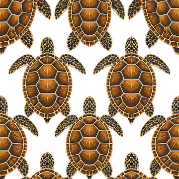 Elegant seamless pattern featuring detailed brown sea turtles on a white background.
