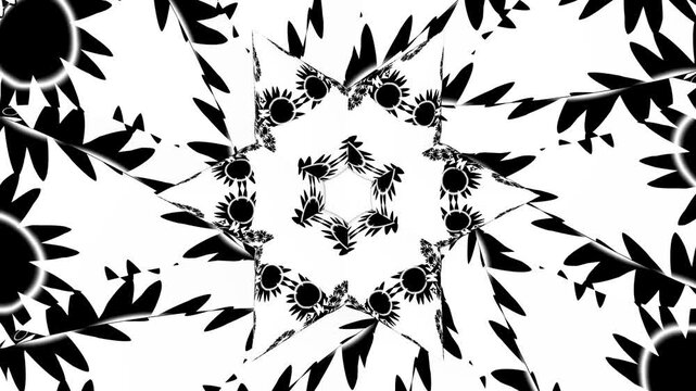 Seamless loopable 2D animation of rotating black floral patterns transforming into hypnotic 3D spheres with sunflower and sharp leaf motifs on white.