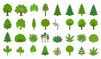 Cute Cartoon Tree Set with Deciduous Coniferous Forest Plants and Botanical Nature Vector Illustration © MSTSHABANA