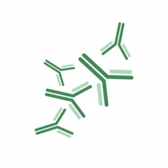 Vector illustration of group of antibodies. © AlexandraDaryl