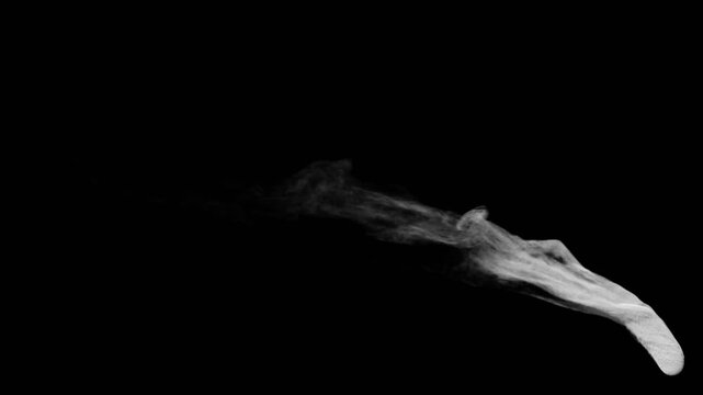 A steam Shooter from a the top view. look for other perspectives on my portfolio.

Ideal for fx shots, and overlays, engines, machinery, vehicles, motors, steam systems.

comes as 1920&times;1080 without al
