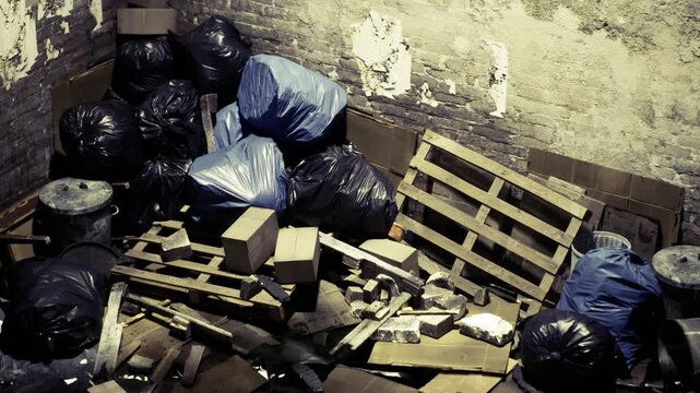 Discarded items litter a dimly lit alley, where piles of black trash bags blend with abandoned pallets and creeping debris. Shadows play across the gritty walls, whispering untold stories.