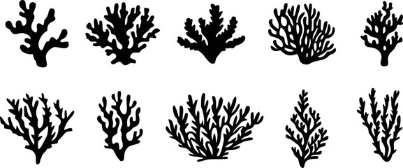 Coral reef silhouette icons © Shahida