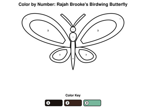 Rajah Brooke&rsquo;s Birdwing Butterfly Color by Number Worksheet for Kids, Printable Tropical Insect Activity, Educational Vector SVG