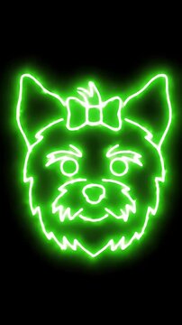Neon green glowing cat face outline on black.