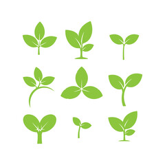 Fototapeta premium Set of green small leaf icons