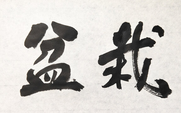 Bonsai (盆栽) Japanese Calligraphy - Handwritten Kanji Brush Art