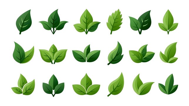 Green Leaf icon Set, Minimal Nature Plant leaves Logo Collection, Modern Symbol Set of Single one, two and three Fresh Organic Leaves Vector isolated on white background White background Stock Vector