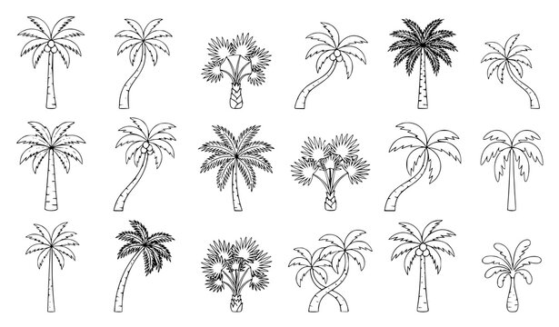 palm trees set