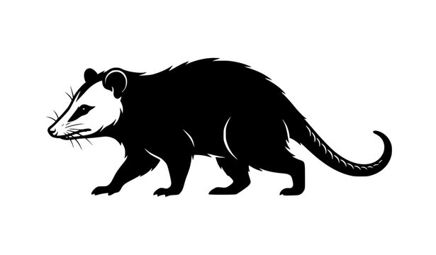 Opossum Silhouette Vector Illustration, Black Possum Walking Isolated on White Background Clipart