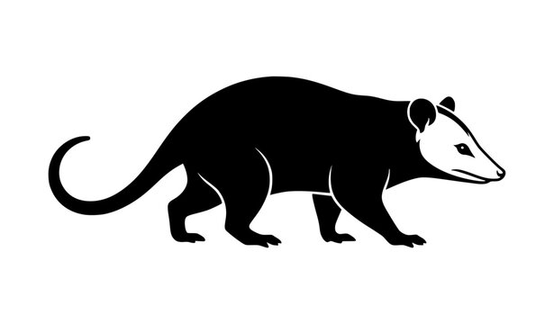 Opossum Silhouette Vector Illustration, Black Possum Walking Isolated on White Background Clipart