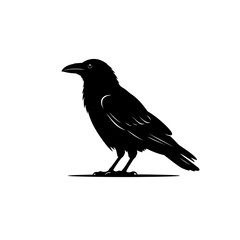 Fototapeta premium Black crow silhouette, bird icon, raven shape, animal illustration