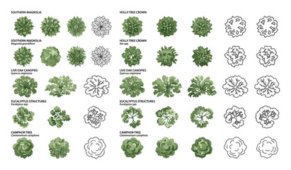 Fototapeta premium Architectural landscape plan symbols of trees in top view for garden design