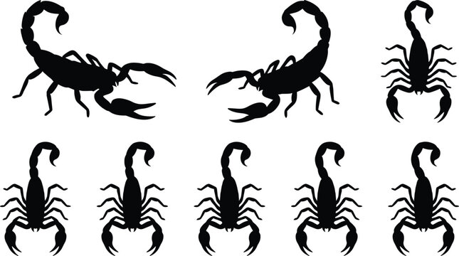 Scorpion Silhouette Vector Icons with Desert Wildlife Arachnid Insect Animal Design Collection Set