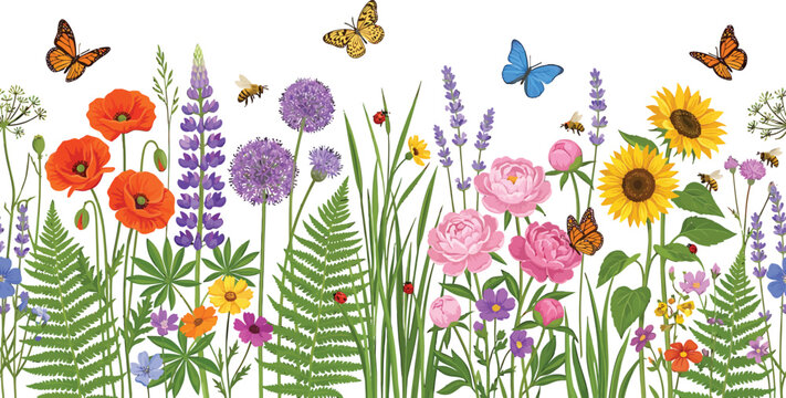 Wildflower meadow border with blooming poppies sunflowers lavender and butterflies isolated on a white background vector illustration