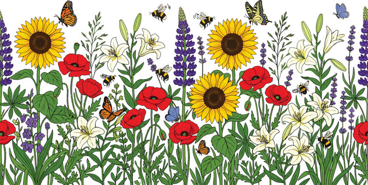 Wildflower meadow border with sunflowers poppies lilies and butterflies in a hand drawn botanical vector illustration