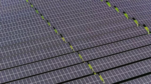 Overhead drone view of solar panel arrays and green vegetation