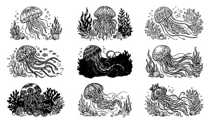 Ornamental Jellyfish Underwater Illustration Collection with Coral Seaweed and Mandala Pattern Coloring Page Set © MdShagarAli
